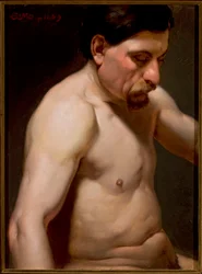 Male Half-figure