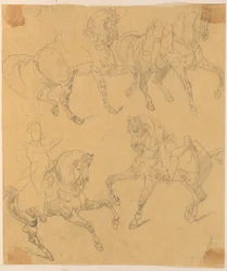 Treasury. Four Horses and a Rider.
