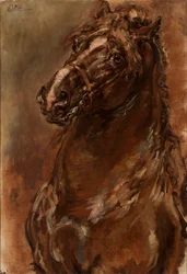 Study of a Horse
