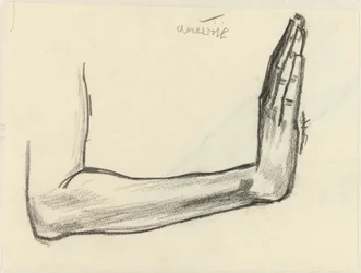 Study of a Forearm