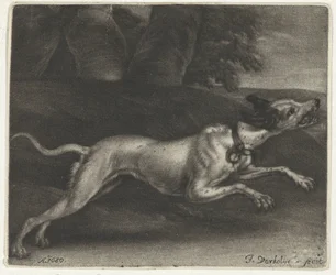 Running Dog