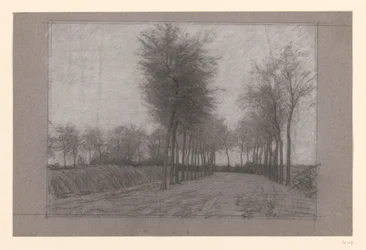 Country Road with Trees on Both Sides