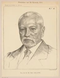 Portrait of Theodorus Hendrik Mac Gillavry at the Age of 62