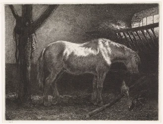Horse in Stable