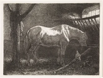 Horse in Stable