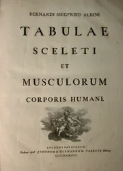 Albinus I, Title Page, from 