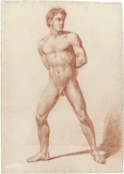 Standing Male Nude, Arms on Back