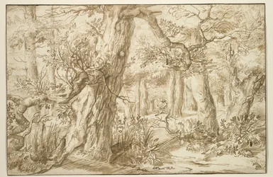 Forest Interior with Draftsman