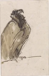 Vulture Sitting on a Branch