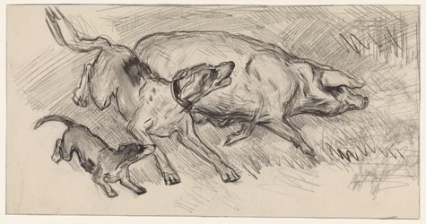 Two Dogs Chasing a Pig