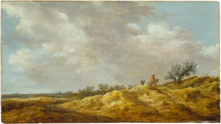 Path through the Dunes