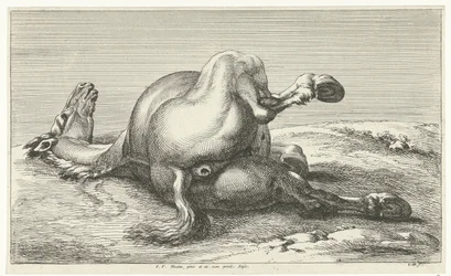 Dead Horse (series title: Dead Horses)
