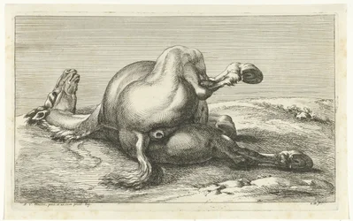 Fallen Horse Seen from Behind (series title)