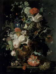 Unknown Image