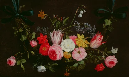 Unknown Image