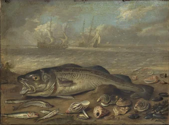 Fish and Marine Landscape