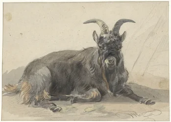 Lying Black Goat