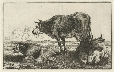 Three Cows
