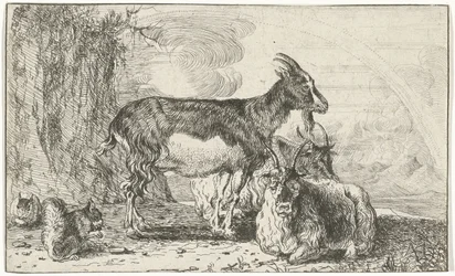 Goats (Animals)
