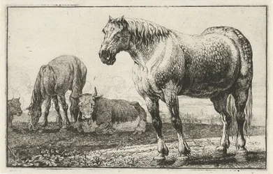 Horses and Cows