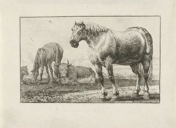 Horses and Cows