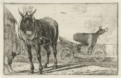 Two Donkeys