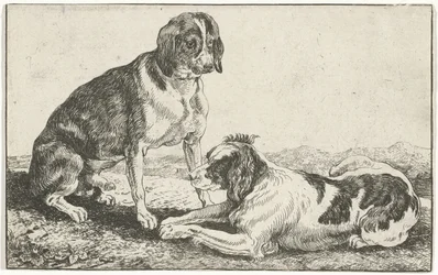 Two Resting Dogs