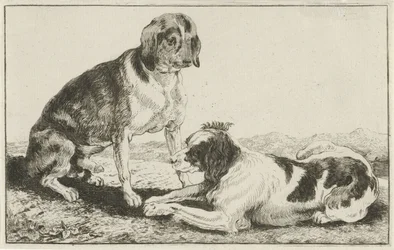 Two Resting Dogs