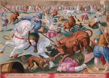 A Mass Bullfight in an Enclosure