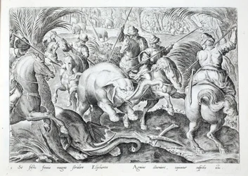 Elephants Make a Great Noise as They Are Struck by Hunters