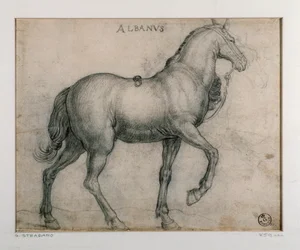 Study for a Horse