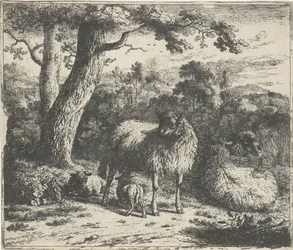Standing sheep with two lambs