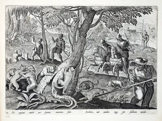 Hunting Cats with Dogs, Illustration from 