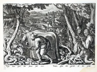 Hunting for Starlings and Partridge, Illustration from 