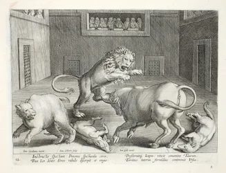 Noblemen watch combat of wild beasts in an indoor circus, illustration from 