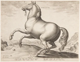 A French Horse, from the first set of 