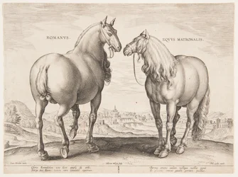 A Roman Horse, from the First Set of 