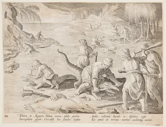 Crocodile Hunt in Tentyra, in Egypt, Plate 30 from the Venationes Ferarum, Avium, Piscium Series
