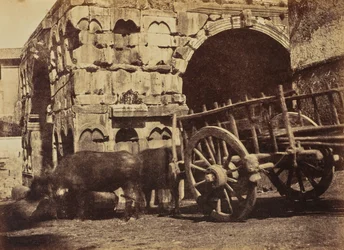 Buffalo Cart, Rome