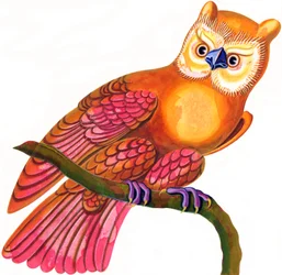 Owl