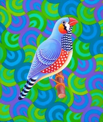 Zebra Finch, 2023