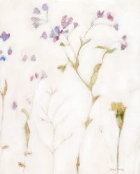 Faintly Lightly Phlox and Carnation, c. 2018