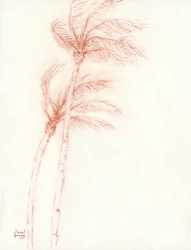 Once Upon a Tropical Vacation Palm Trees