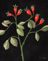 Rose Hips from the Courtyard, c. 2025