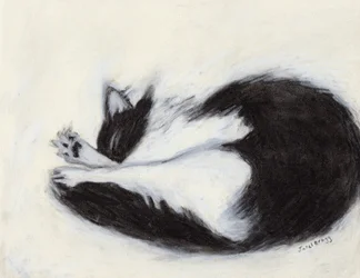 Thomas Taking a Nap