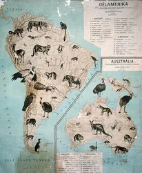 Map of animals in South America & Australia