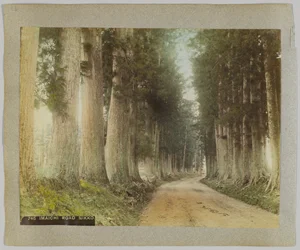 Imaichi Road, Nikko, Japan