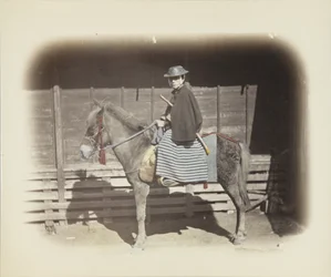 Man on a horse