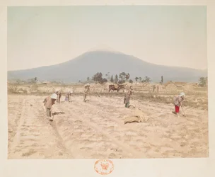 Mount Fuji and Farmland, from A Book of Coloured Photographs of Views in Japan