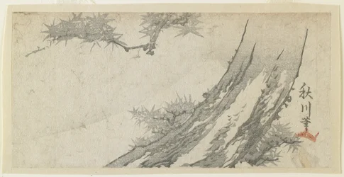 Maple Tree and Mt. Fuji